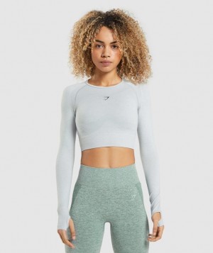 Crop Tops Gymshark Flex Sports Long Sleeve Crop Top Gris Claro | LJIFK8754