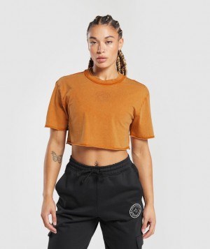 Crop Tops Gymshark Legacy Washed Crop Top Naranjas | MQTGK7953