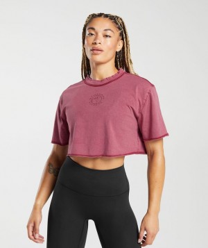 Crop Tops Gymshark Legacy Washed Crop Top Azules | HOZWC7519