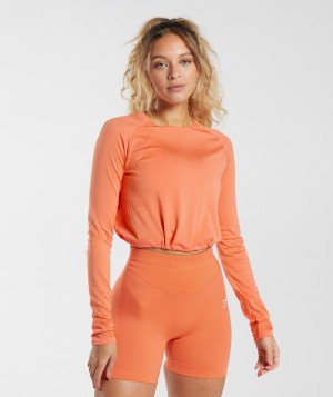 Crop Tops Gymshark Sweat Seamless Long Sleeve Crop Top Naranjas | TARUZ9370