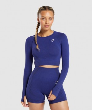 Crop Tops Gymshark Vital Seamless 2.0 Crop Top Moradas | BHMYO0145