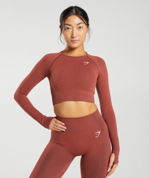 Crop Tops Gymshark Vital Seamless 2.0 Crop Top Rojas | YAZMB3651