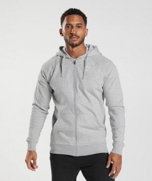 Hoodies Gymshark Crest Zip Up Hoodie Gris Claro | OTSWN7918