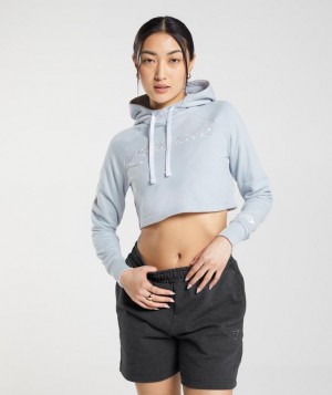 Hoodies Gymshark Embroidered Estampadas Cropped Hoodie Gris | VMCHA6508