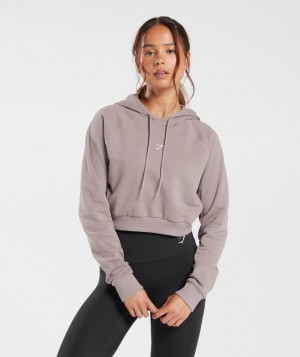 Hoodies Gymshark Entrenamiento Crop Hoodie Washed Mauve | CZFXU6273