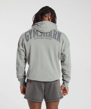 Hoodies Gymshark Heritage Washed Hoodie Gris | RXLQK0619