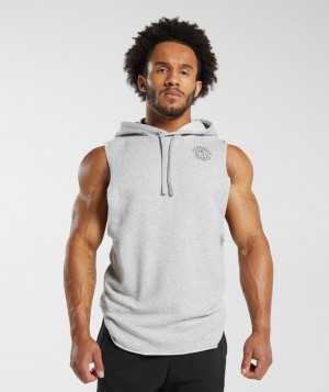 Hoodies Gymshark Legacy Drop Arm Hoodie Gris Claro | LRMZT7309