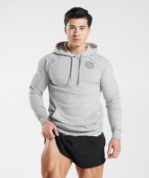 Hoodies Gymshark Legacy Hoodie Gris Claro | UJHIA5149