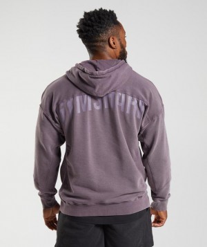 Hoodies Gymshark Power Washed Hoodie Musk Lilac | RBDUW1052