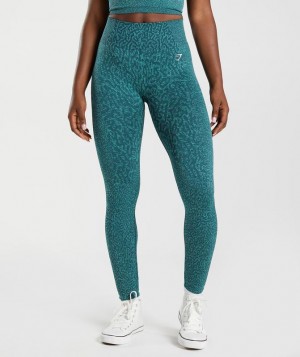 Leggins Gymshark Adapt Animal Seamless Leggings Reef | Winter Teal | RUKVW1807