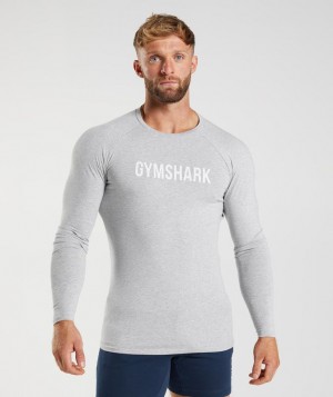 Long Sleeve Top Gymshark Apollo Long Sleeve T-Shirt Gris Claro | VLPTH8605