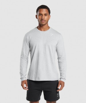 Long Sleeve Top Gymshark Crest Long Sleeve T-Shirt Gris Claro | XCKYF9085