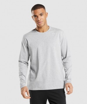 Long Sleeve Top Gymshark Crest Long Sleeve T-Shirt Gris Claro | IWYSD0874