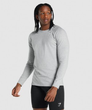 Long Sleeve Top Gymshark Critical 2.0 Long Sleeve T-Shirt Gris Claro | ZDIBG1483