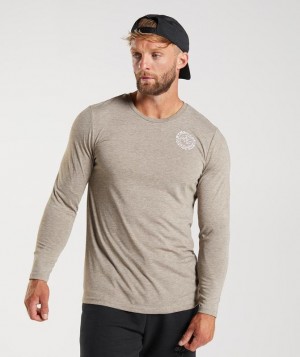 Long Sleeve Top Gymshark Legacy Long Sleeve T-Shirt Limestone Marl | NELWY0132