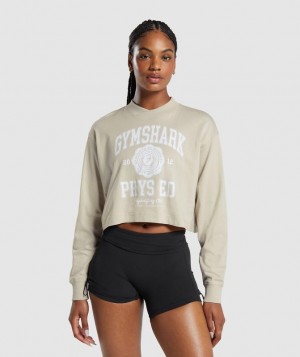 Long Sleeve Top Gymshark Phys Ed Estampadas Long Sleeve T-Shirt Marrones | TPVAM9850