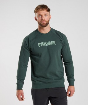 Pullovers Gymshark Apollo Crew Obsidian Verde | UBQEO9601