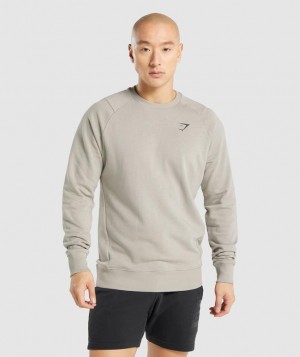 Pullovers Gymshark Bold Crew Gris | YOBIL2504