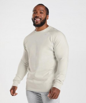 Pullovers Gymshark Crest Sweatshirt Gris | NRIVL0541