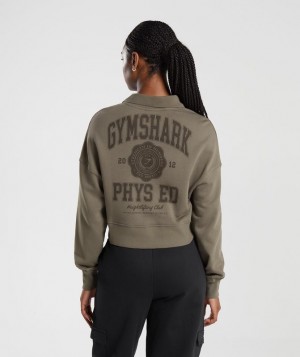 Pullovers Gymshark Phys Ed Estampadas 1/4 Zip Camuflaje Marrones | QRDXI1759