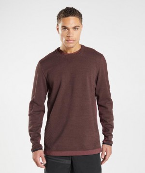 Pullovers Gymshark Retake Crew Marrones | WUABP0146