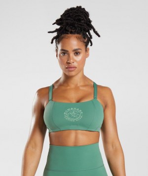 Sports Bras Gymshark Legacy Sports Bra Verde | JCFYH9617