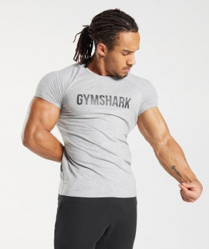 T-Shirts Gymshark Apollo T-Shirt Gris Claro | BUXKV2756