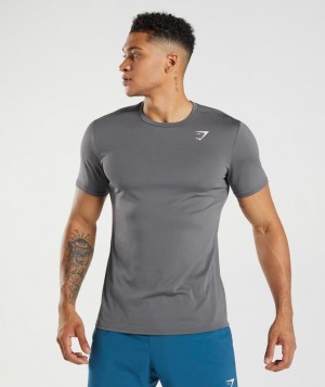 T-Shirts Gymshark Arrival T-Shirt Gris | EMTIL9671