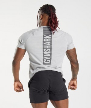 T-Shirts Gymshark Bold T-Shirt Gris Claro | YUHGX3289