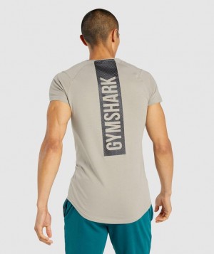 T-Shirts Gymshark Bold T-Shirt Gris | SIMJV4819