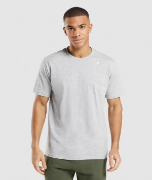 T-Shirts Gymshark Crest T-Shirt Gris Claro | RDQCP0413