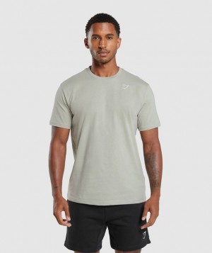 T-Shirts Gymshark Crest T-Shirt Gris | AJCPX3640