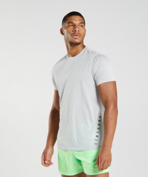 T-Shirts Gymshark Deporte T-Shirt Gris | OURSI1430