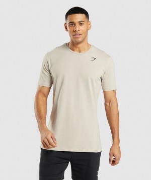 T-Shirts Gymshark Essential T-Shirt Gris | JMEXC7438