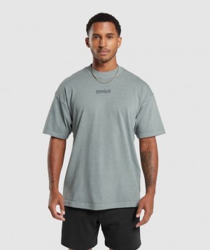 T-Shirts Gymshark Heavyweight T-Shirt Gris | TFCDR0986