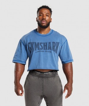 T-Shirts Gymshark Heritage Washed Crop T-Shirt Azules | QULJE9085