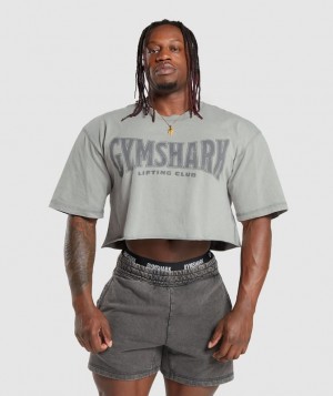 T-Shirts Gymshark Heritage Washed Crop T-Shirt Gris | WRZGD6591