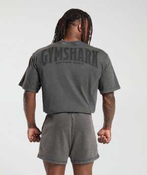 T-Shirts Gymshark Heritage Washed T-Shirt Gris | SHEVP6739