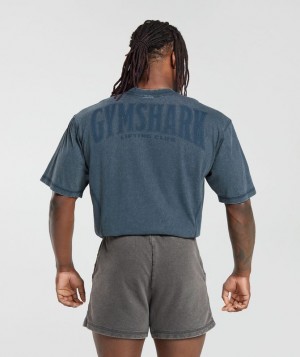 T-Shirts Gymshark Heritage Washed T-Shirt Azul Marino | XACSZ9847