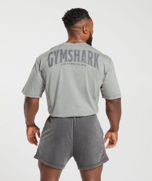 T-Shirts Gymshark Heritage Washed T-Shirt Gris | ZWDXB3127