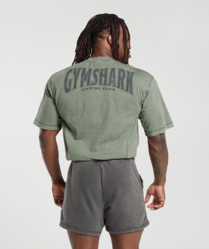 T-Shirts Gymshark Heritage Washed T-Shirt Verde | KLARX4652