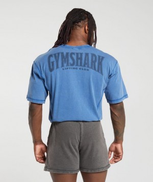 T-Shirts Gymshark Heritage Washed T-Shirt Azules | KLSFV0397