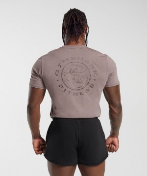 T-Shirts Gymshark Legacy T-Shirt Washed Mauve | ORLXW2416