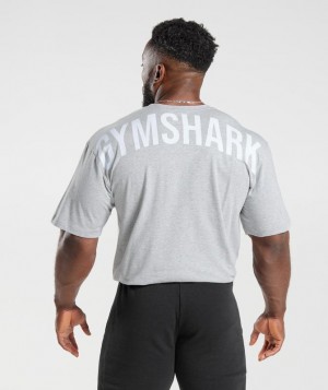 T-Shirts Gymshark Power T-Shirt Gris Claro | UDNCM2179