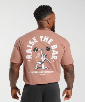 T-Shirts Gymshark Raise the Bar T-Shirt Rosas | LYGUC2914