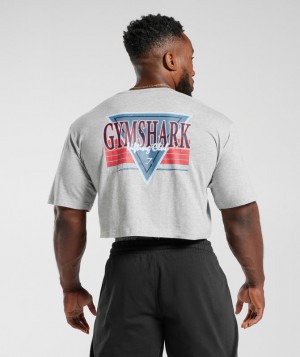 T-Shirts Gymshark Retrowave Crop T-Shirt Gris Claro | ZNEWU7684