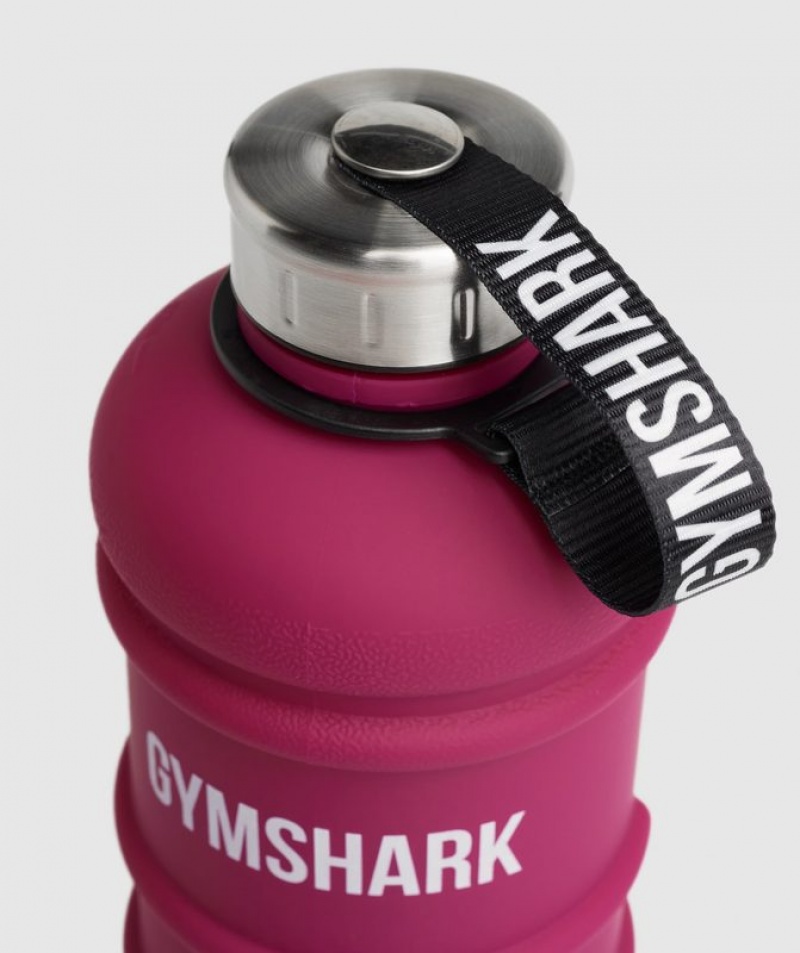 All Bottles Gymshark 33oz Agua Bottle Rosas | CEDUJ4567