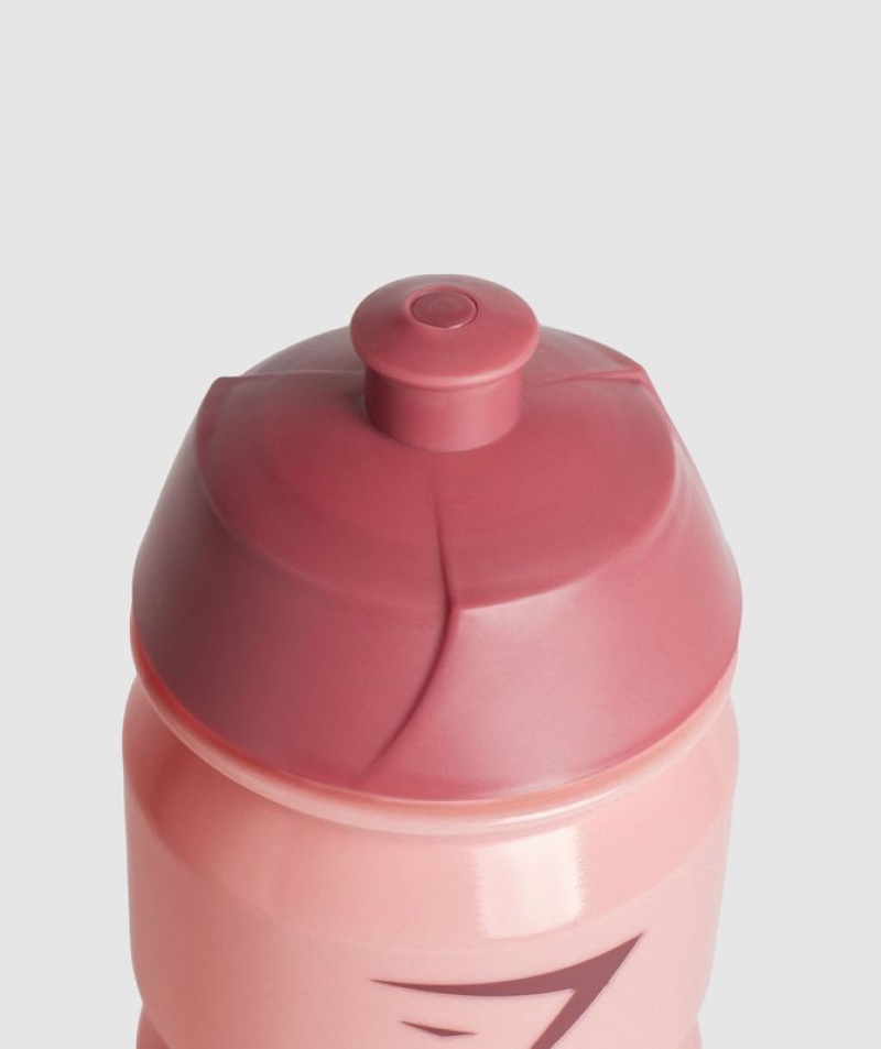 All Bottles Gymshark Cycle Bottle Rosas | MTBAU5908