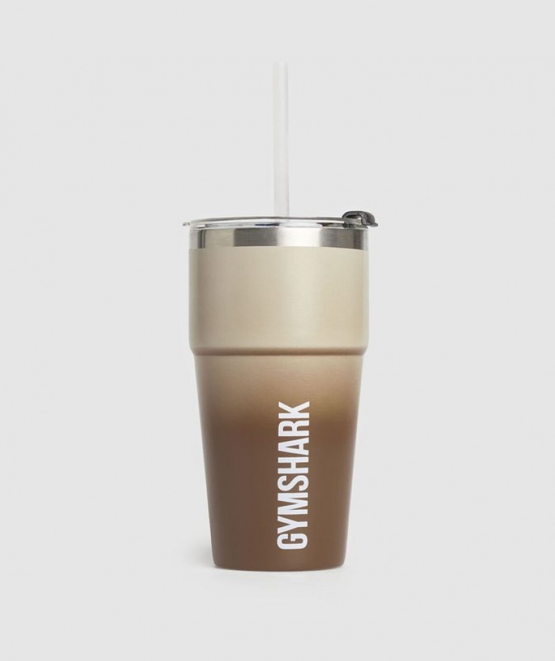 All Bottles Gymshark Insulated Straw Cup Marrones | RHCLO4283