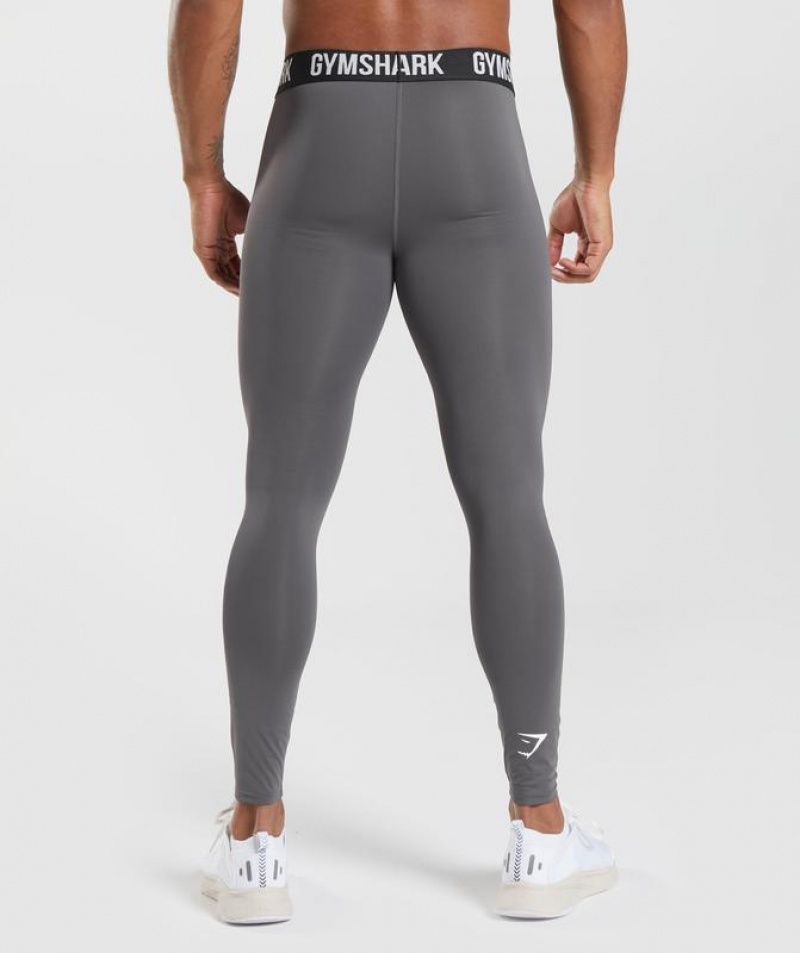 Baselayer Gymshark Element Baselayer Leggings Gris | HJXBV0249